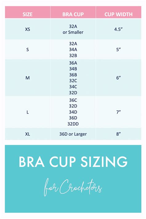 Bra Cup Sizes Chart Illustration