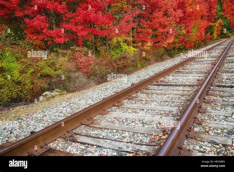 Railroad Tracks Along Colorful Autumn Foliage Trees Stock Photo Alamy