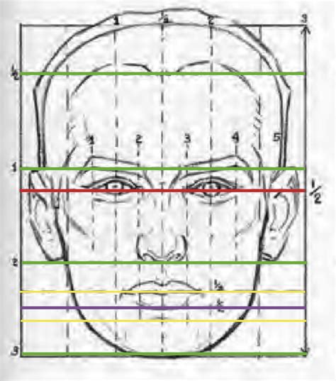 Facial Proportions And Sculpting A Face Beginners School