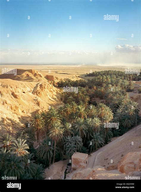 Nefta Oasis Tunisie Banque De Photographies Et Dimages à Haute