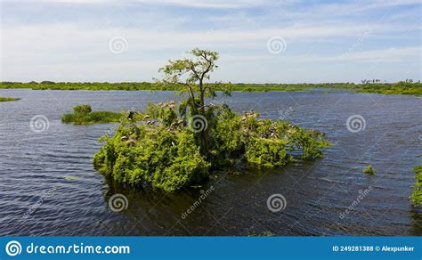Kumana National Park With Lake And Birds Stock Photo Image Of