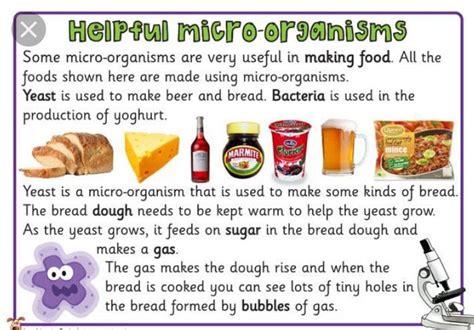 a poster highlighting the usefulness of microorganisms