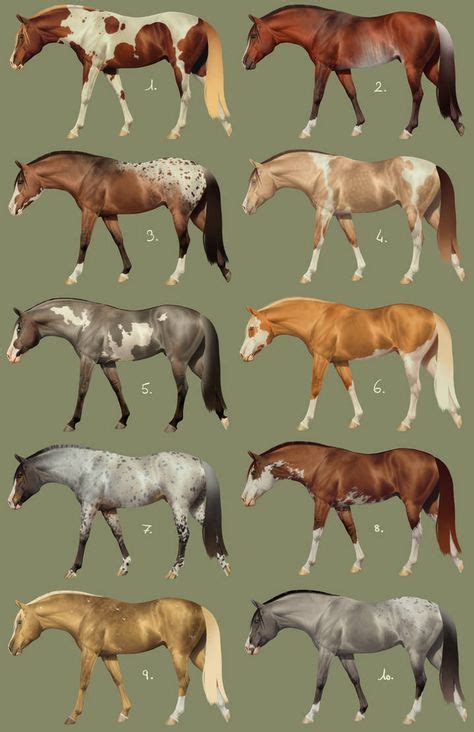 160 Unusual Coat Patterns Ideas In 2021 Beautiful Horses Pretty
