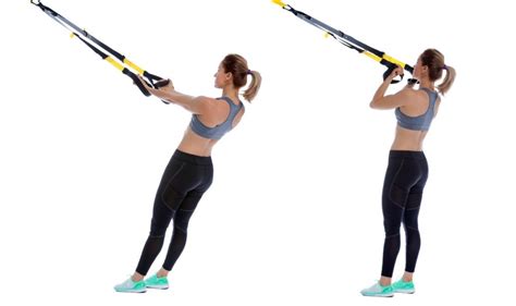 Chest Press Inside Grip Trx Exercise Primary Muscles Worked Chest