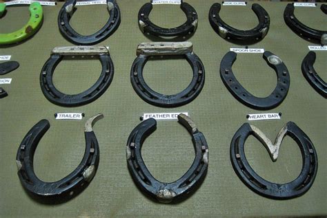 Therapeutic Horse Shoes Free Stock Photo Public Domain Pictures