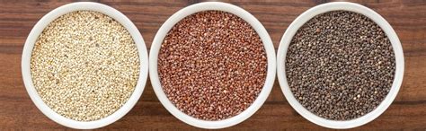 Many whole grains are good sources of dietary fiber, which we all need. Gluten-Free Foods List: 54 Foods You Can Eat