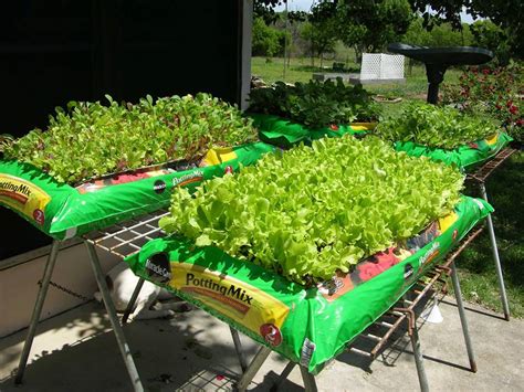 A key task in the mining industry includes the collection of samples, typically soil that would be transported to a lab for testing. Container Gardens to Save Money - Live Healthy With Patty