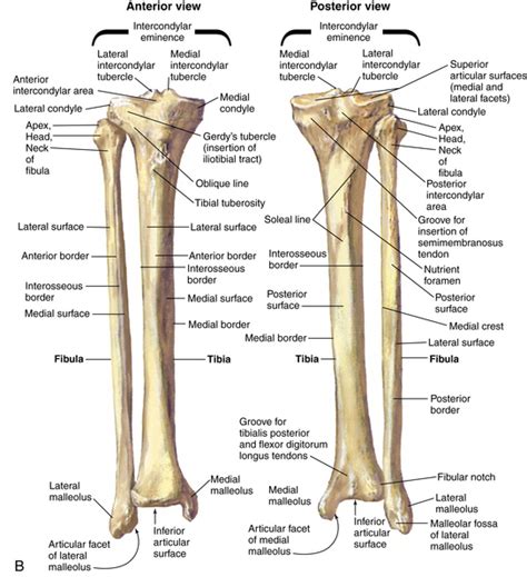 Tibial Plateau Fracture Icd 10 Asking List