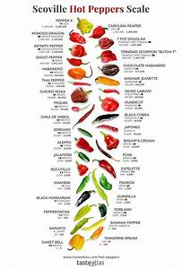 Peppers Of The World 28 Pepper Types Tasteatlas Stuffed