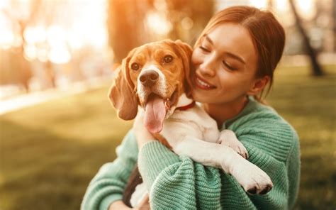 Mujer Feliz Abrazando Al Perro Beagle En El Parque Foto Premium
