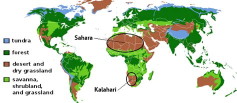 Sahara location, history, map, countries, animals, & facts. History of Sub-Saharan Africa | Essential Humanities