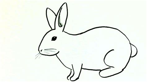 Sketch Easy Rabbit Drawing
