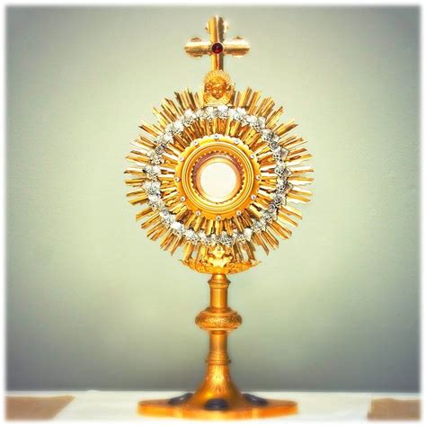 The Year Of The Eucharist St Mary Immaculate Parish