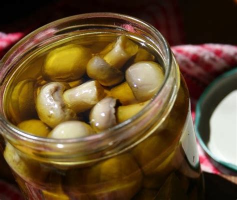 We did not find results for: Champignon sott'olio | Ricetta ed ingredienti dei ...