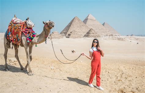 Camel Tour To The Pyramids With Private Transfers