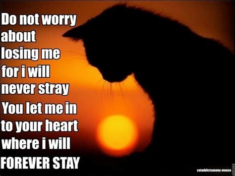 Value placement here is random.might make a nice. Grieving Quotes | Grieving Sayings | Grieving Picture Quotes