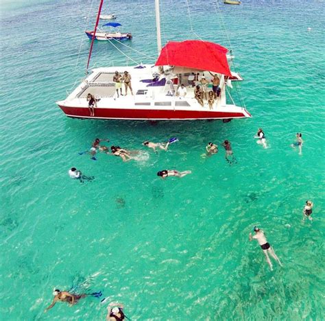 turtles snorkeling catamaran barbados barbados cruise excursions