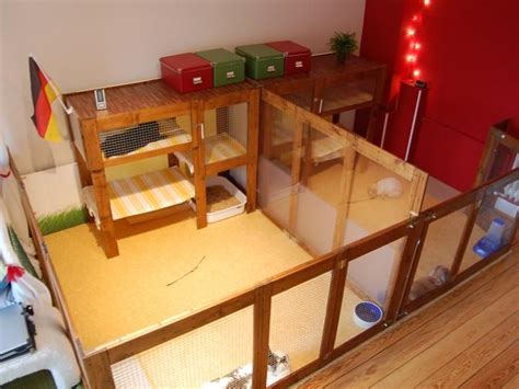 Zunächst schreibt euch die genauen maße auf, dann könnt ihr euch die möbelbauplatten und die mdf bzw. Kaninchenvilla | Kaninchengehege, Kaninchen, Hasen gehege