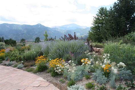 Awasome Colorado Xeriscape Landscaping Ideas 2022 Cfj Blog