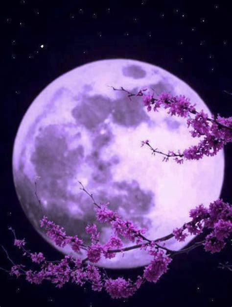 Pin By Dee Mcdaniel On Purple Beautiful Moon Moon Pictures