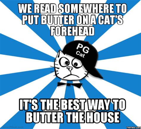 To Put Butter On A Cat S Forehead Is The Best Way To Butter The House