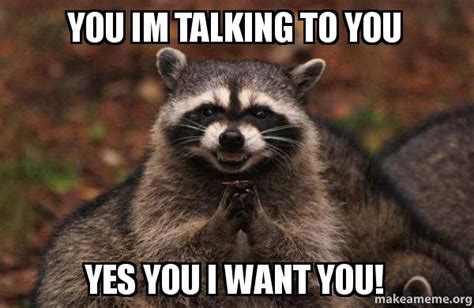 You Im Talking To You Yes You I Want You Evil Plotting Raccoon Make A Meme