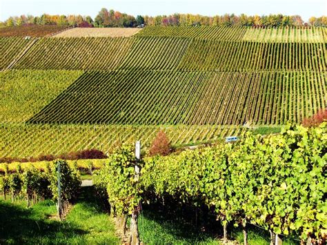 Das landschloss, das traumschloss und das refugium. 071015 Weinberge in Franken - Franconian vineyards near ...