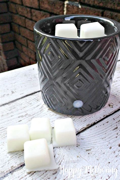 Expert product reviews and advice. Homemade Natural Wax Melts for Wax Warmers - Happy Mothering