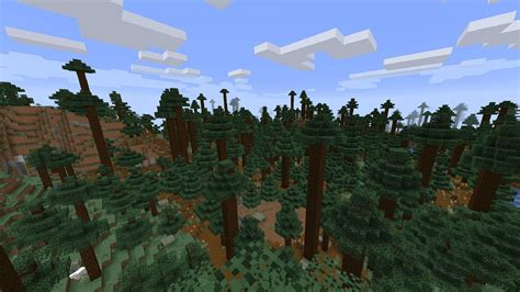 How Rare Is Taiga Biome In Minecraft