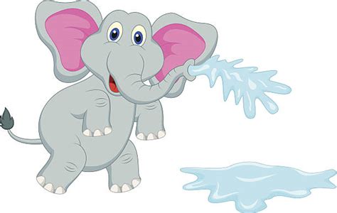 Elephants Drinking Water Illustrations Royalty Free Vector Graphics