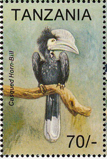 Silvery Cheeked Hornbill Stamps Mainly Images Gallery Format