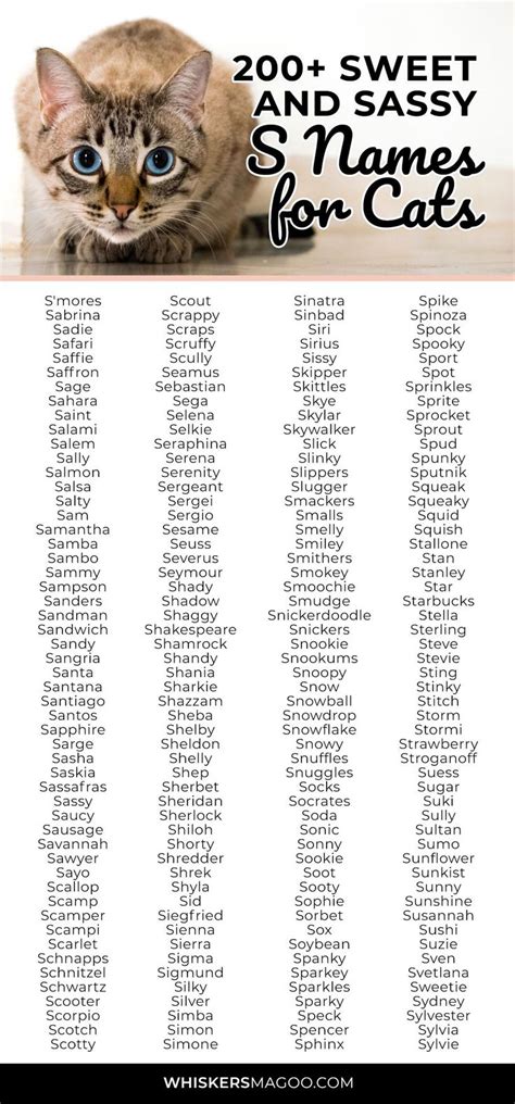 200 Sweet And Sassy S Names For Cats Whiskers Magoo Cute Cat Names