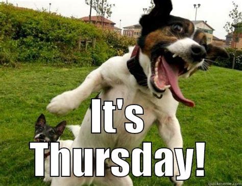 Thursday Dog Meme