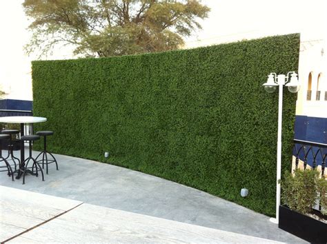 Artificial Green Wall Installation Images Dubai Treelocate Foliages