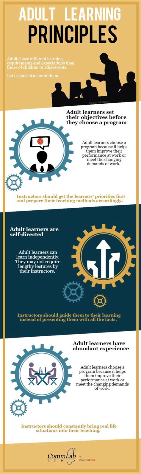 Adult Learning Principles An Infographic It Training Training And