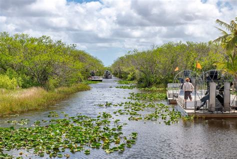 15 Best Everglades Airboat Tours The Crazy Tourist