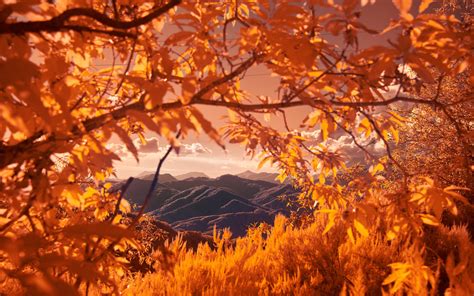 3840x2400 Mountains View Between Autumn Tree Branches 5k 4k Hd 4k
