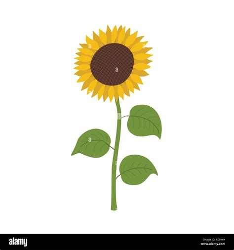 Top 158 Animated Sunflower Wallpaper