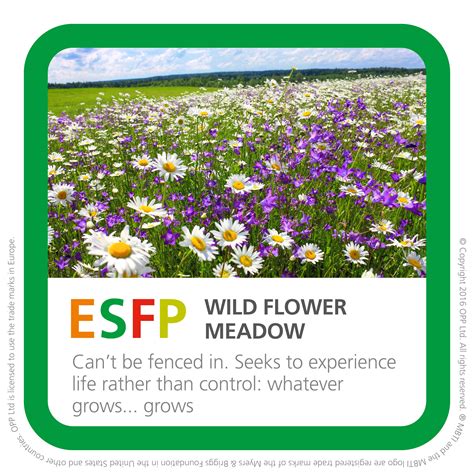 Esfp Wild Flower Meadow Garden Types Wild Flower Meadow Flower Meadow
