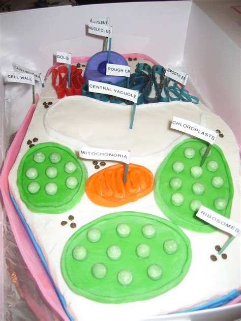 We did not find results for: 17 Best images about Science projects on Pinterest ...