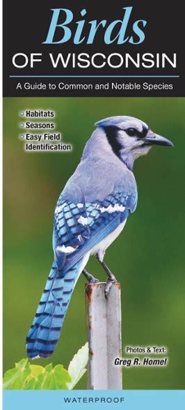 Quick Reference Publishing Birds Of Wisconsin Rei Co Op