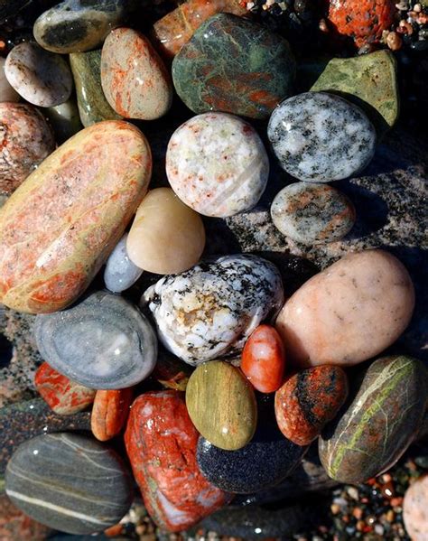 Beach Beauties Worth A Look Bi You Have A Minute Rock And