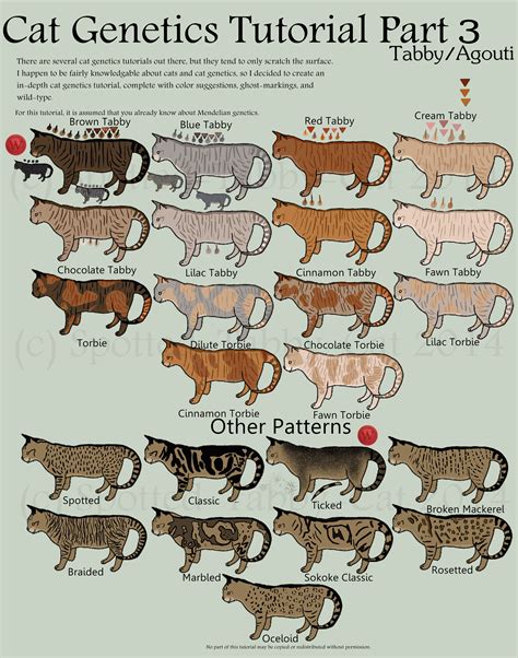 The coat color and pattern is caused by the well know piebald or white spotting gene interacting with the genes that produce the the charts show how the colours are related (dense, dilution, caramel, amber, russet), the grades of white spotting and how. Cat Genetics Tutorial Part 3 (Tabby/Agouti) by Spotted ...