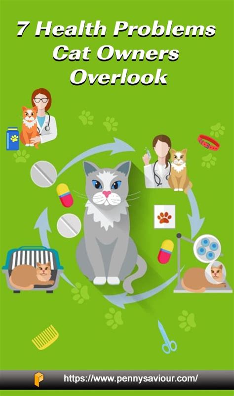 7 Health Problems Cat Owners Overlook | Cat problems, Health problems ...