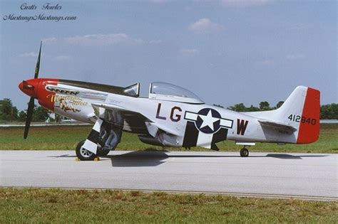 P 51 Mustang Survivors