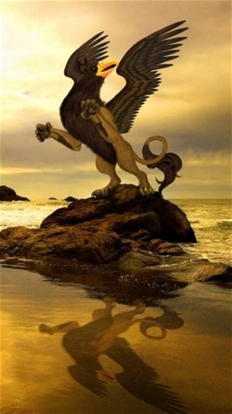Gryphon Mythical Creatures Photo 28582716 Fanpop