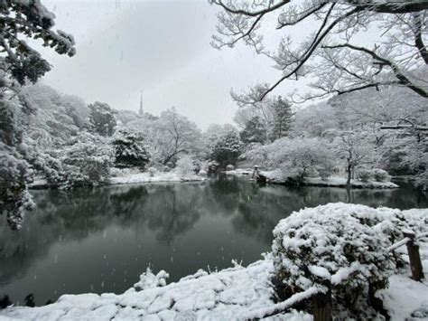 Tokyo Might Get Its First Snowfall Of 2023 On Tuesday January 24