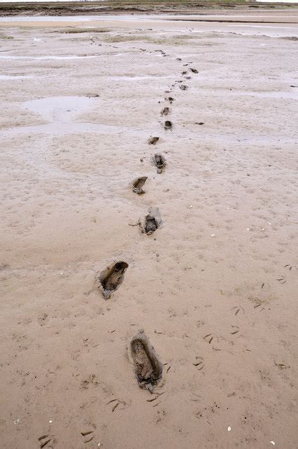 Footprints In The Mud Norton Creek © Julian Dowse Geograph