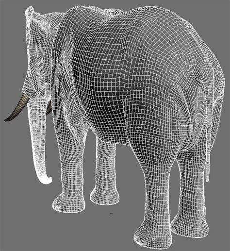 pro elephant animated 3d model 3d model animated rigged cgtrader