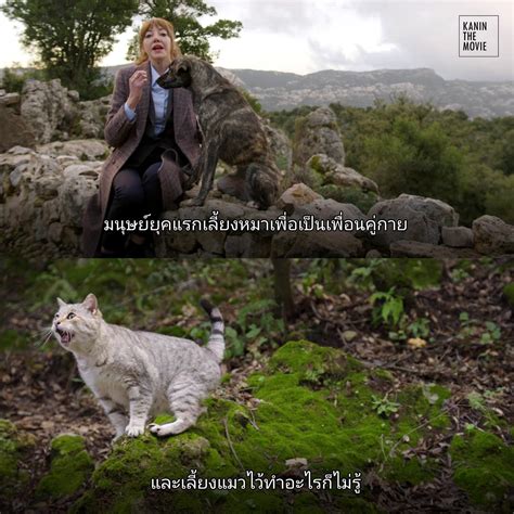 Chongho🌳 On Twitter สารคดีที่ฮาที่สุดในโลก นี่คือสารคดีปลอมมี 5 ตอน Cunk On Earth 2022 พูด